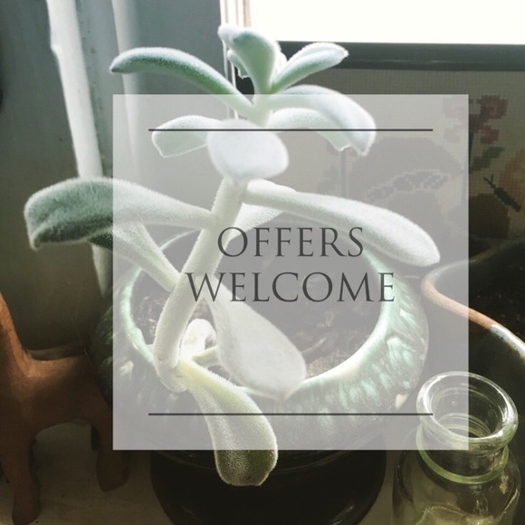 Meet your Posher, Liberty - Picture 2 of 2